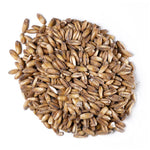 BEST OAT (MALT AVOINE) 3-8 EBC